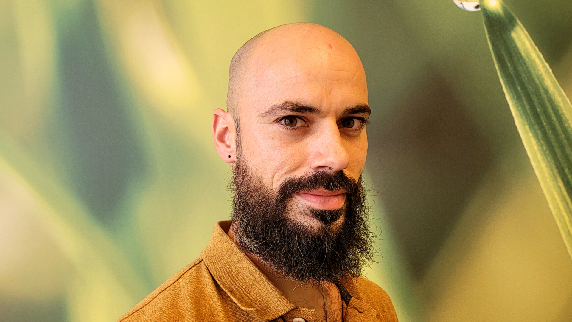 Tandt Ioannis