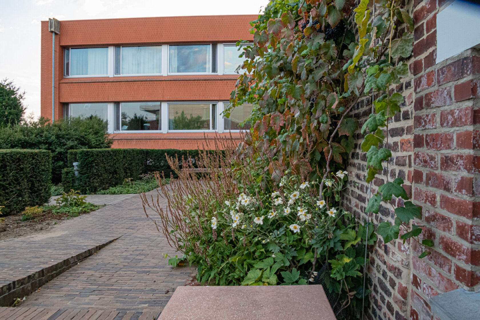 Buitenkant 29 Buitenkant 29